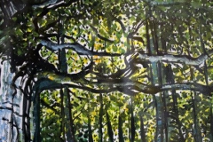 dark-forest