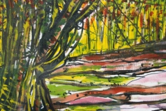 light-forest